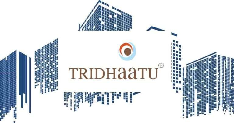 Tridhaatu Realty And Infra | Builders & Developers